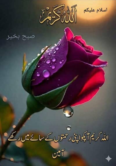 PICK AND DROP SERVICE AVAILABLE HA