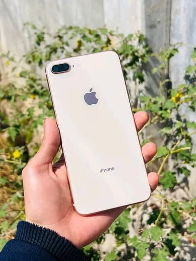 Iphone 8plus pta approved 256GB My Whatsapp 0329-70-46-121