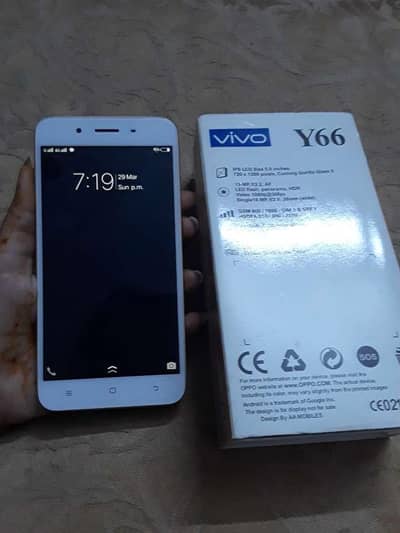 vivo y66