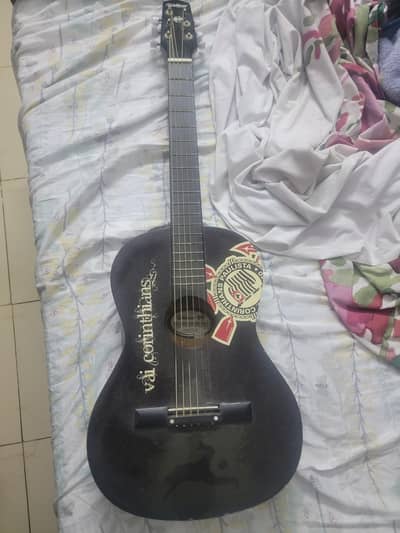 Waldman acoustic guitar