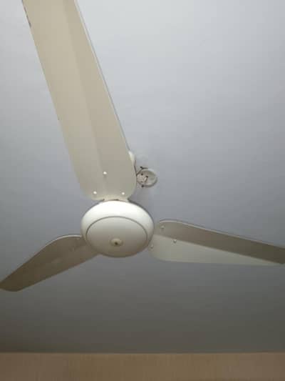 Ceiling Fan