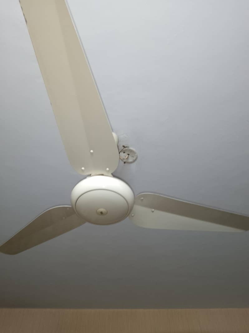 Ceiling Fan 0