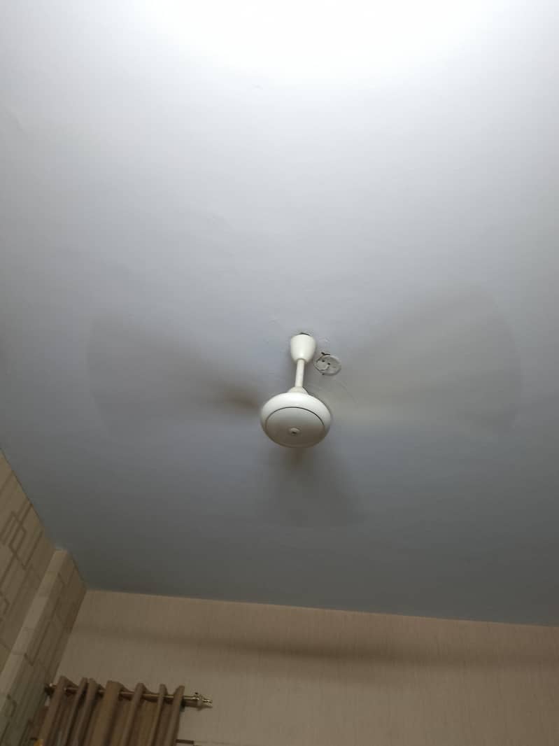 Ceiling Fan 2