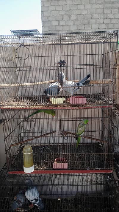 2 portion cage for sale