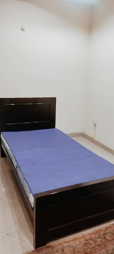 Brand new single bed with foam  for sale
