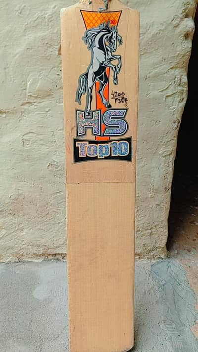 Hard ball cricket Bat