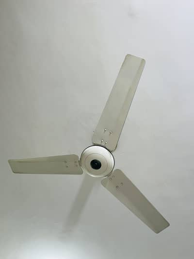Royal Deluxe Ceiling Fan | Original Royal Fans | Working Perfectly