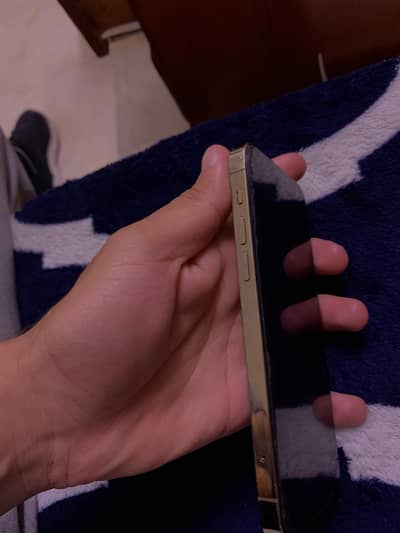 Iphone 12 pro non pta