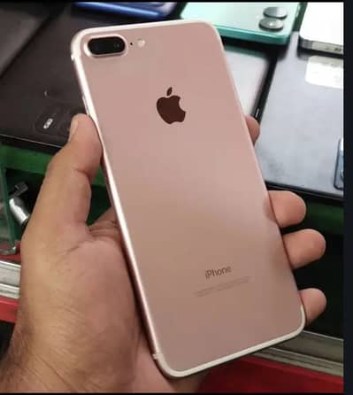 10/10 condition pta approves