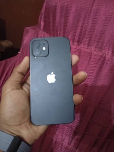 I phone 12