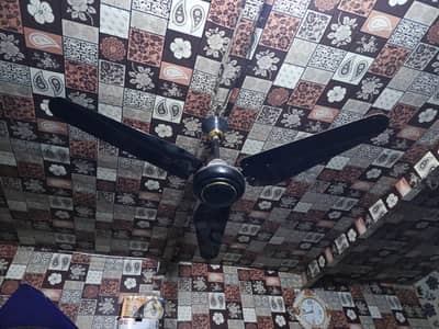 yasika fan and royal fan pure copar  10.10 hy.