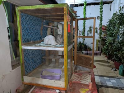 cat/dog/chicken cage