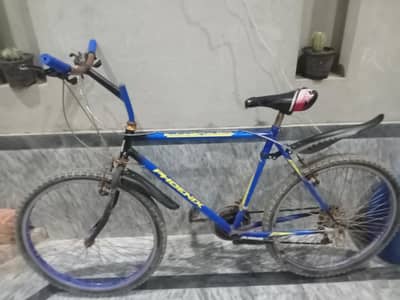 Bicycle for sale