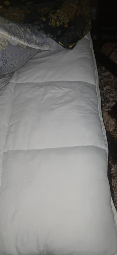 molty ortho mattress