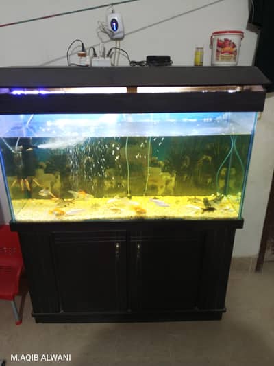 4 fit aquarium Complete setup for sale
