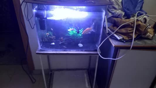 2ft fish aquarium with fishes