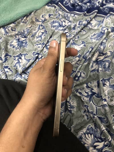 Iphone 12 Pro Max (Pta Approved)