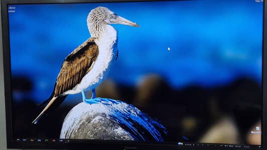 Panasonic LED TV TH L47ET 5 M 3D 47 inch