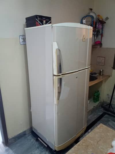 PEL Refrigerator /fridge