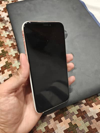Iphone X display dead