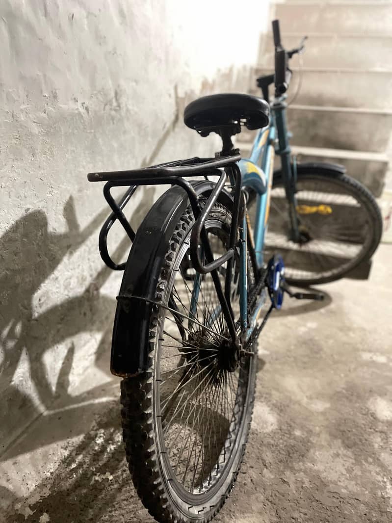 Casplain,2024model 1