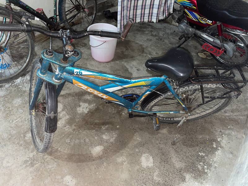 Casplain,2024model 4