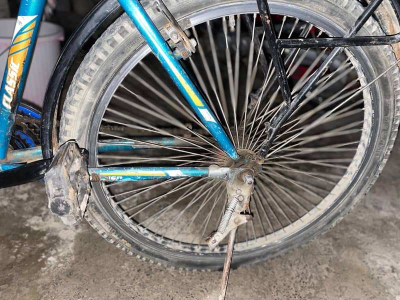 Casplain,2024model 5