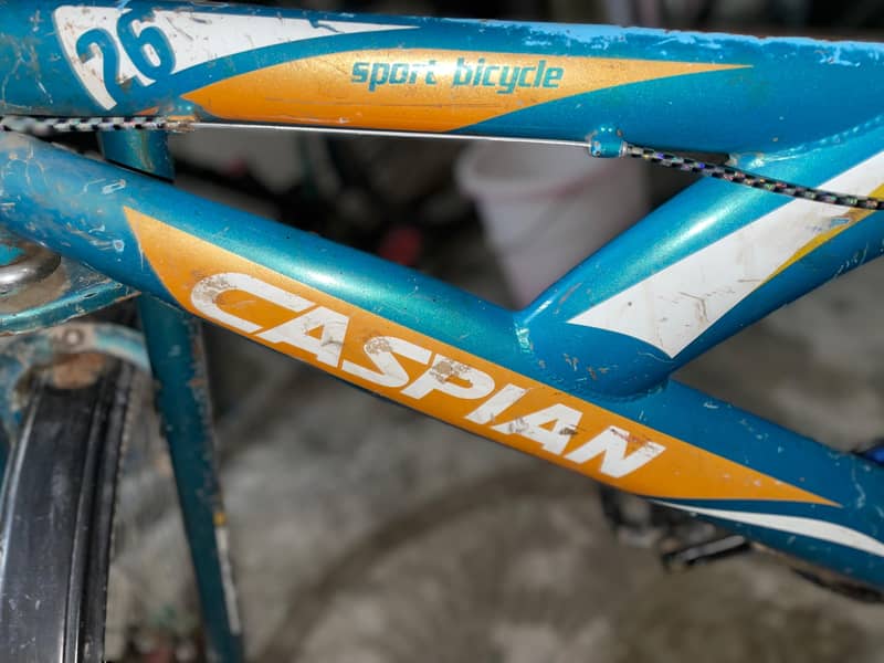 Casplain,2024model 7