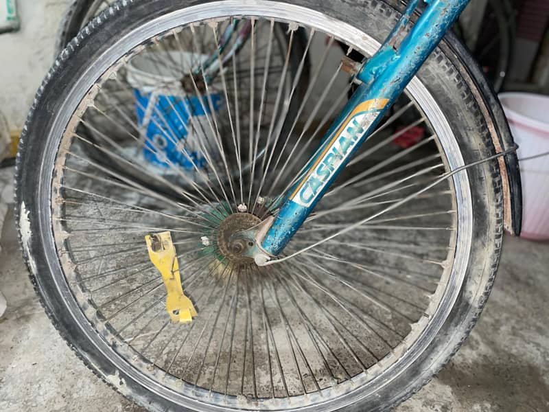 Casplain,2024model 8