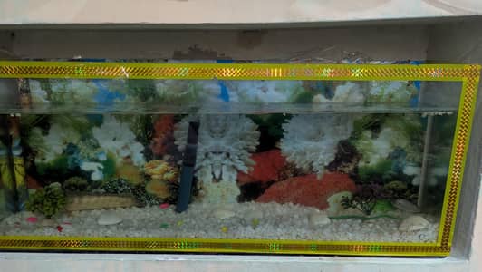 Aquarium With Water Pump and Stone