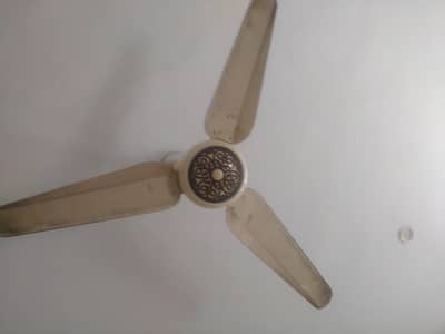 orient fancy fans. . .