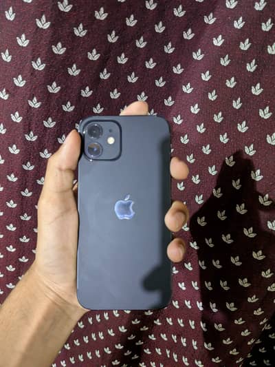 IPHONE 12 | FACE ID TRUE TONE ACTIVE  | BATTERY 80 | ALL OK