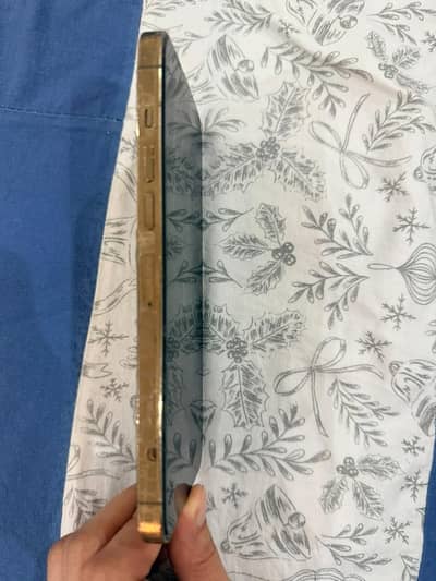 iPhone 13 pro max Non pta