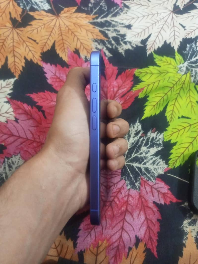 using for 5 months 2