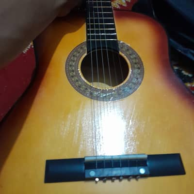 Aucostic Guitar