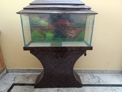 Aquarium in Very Good Condition