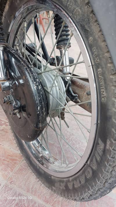 shokeen hazrat rbta kren