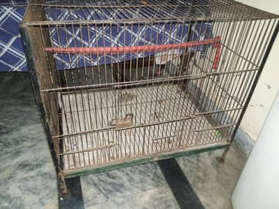 For salepics apky samny hai