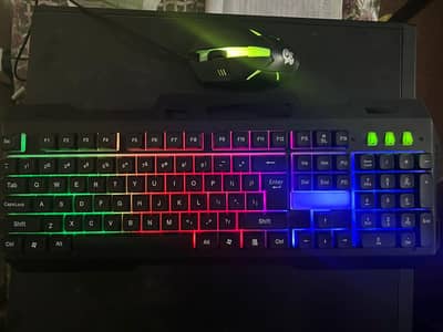 Gaming Keyboard with Mouse.