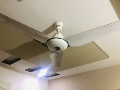 SKM Ceiling Fan