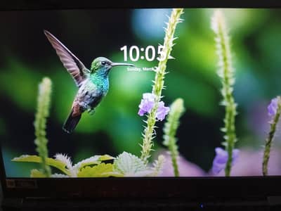 ACER NITRO 5 GAMING LAPTOP