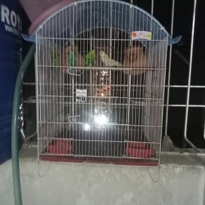 super Asia machine 10/100