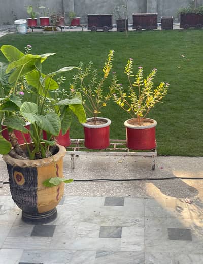 14 marla Upper Portion For Rent In Pwd