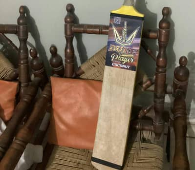 Cricket Coconut Bat with original cover for sale