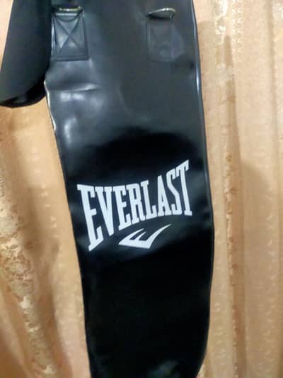 Everlast boxing bag