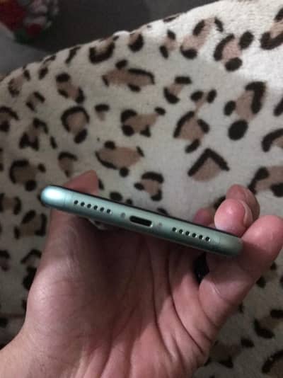 i phone 11 pta register