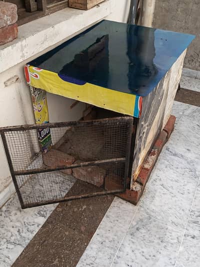 Pigeons Cage For Sale!
