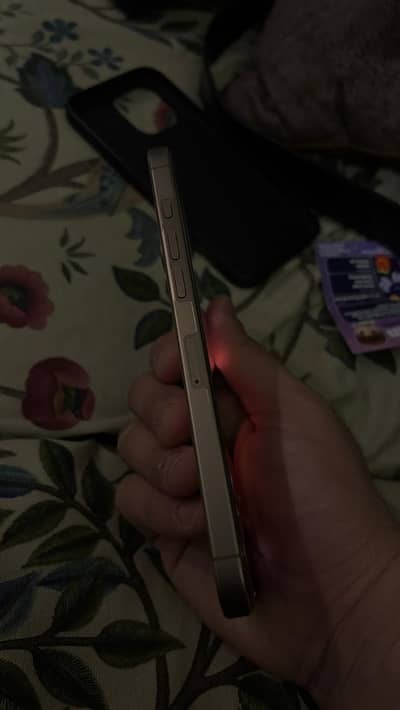 16 PRO MAX PTA APPROVED