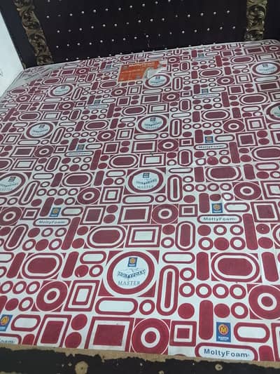 used moltifoam