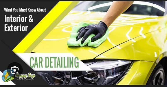 car interior cleaning with ribbon polish door step service